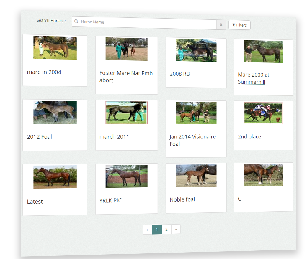 Client Portal Package - EquisoftLive Bloodstock Management Software