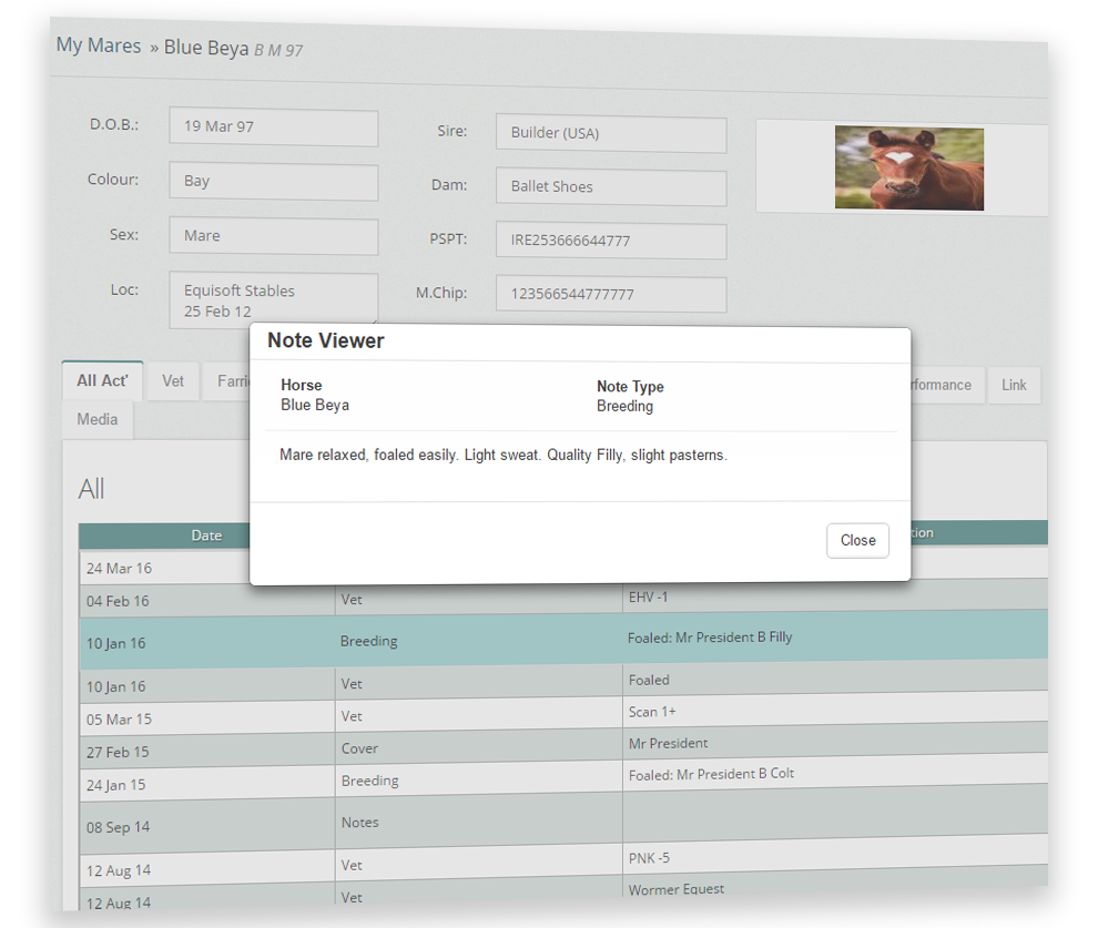 Client Portal Package - EquisoftLive Bloodstock Management Software