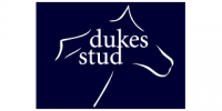 DukesStud320x160mini